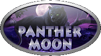 Игровой автомат Panther Moon