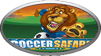 Soccer Safari