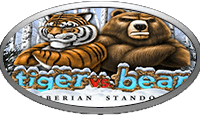 Tiger Vs Bear